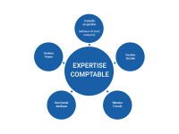 Expertise comptable